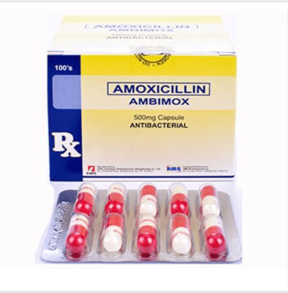 Amoxicillin 500mg Capsule x 1