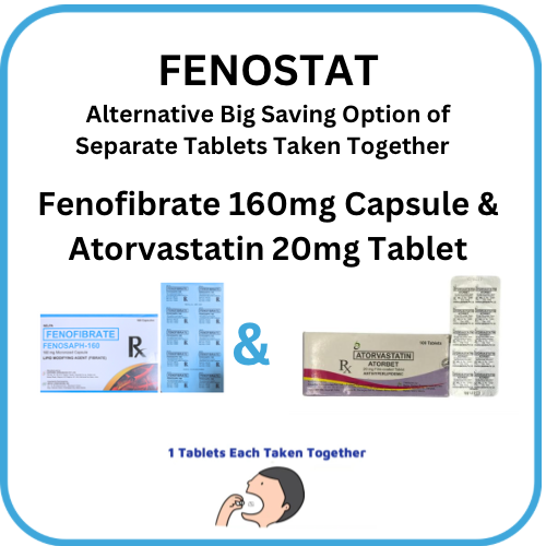 FENOSTAT  Fenofibrate + Atorvastatin 160mg/20mg Tablet x 1